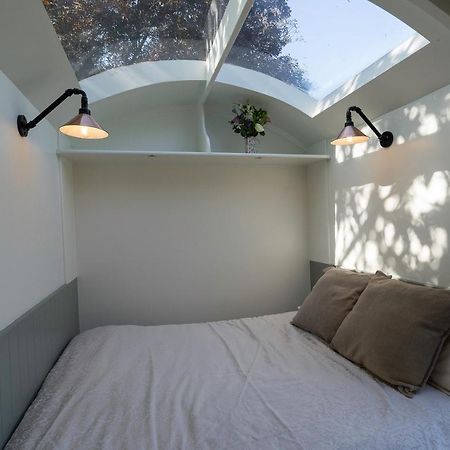 Bannfield Shepherds Hut 巴利马尼 外观 照片