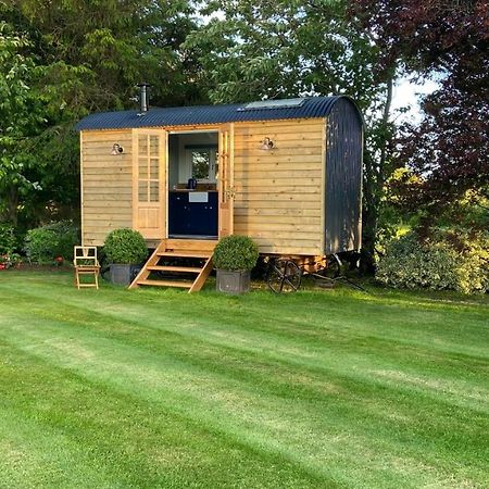 Bannfield Shepherds Hut 巴利马尼 外观 照片