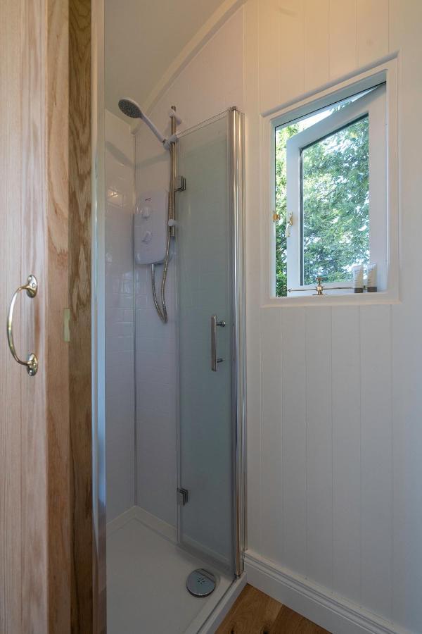 Bannfield Shepherds Hut 巴利马尼 外观 照片