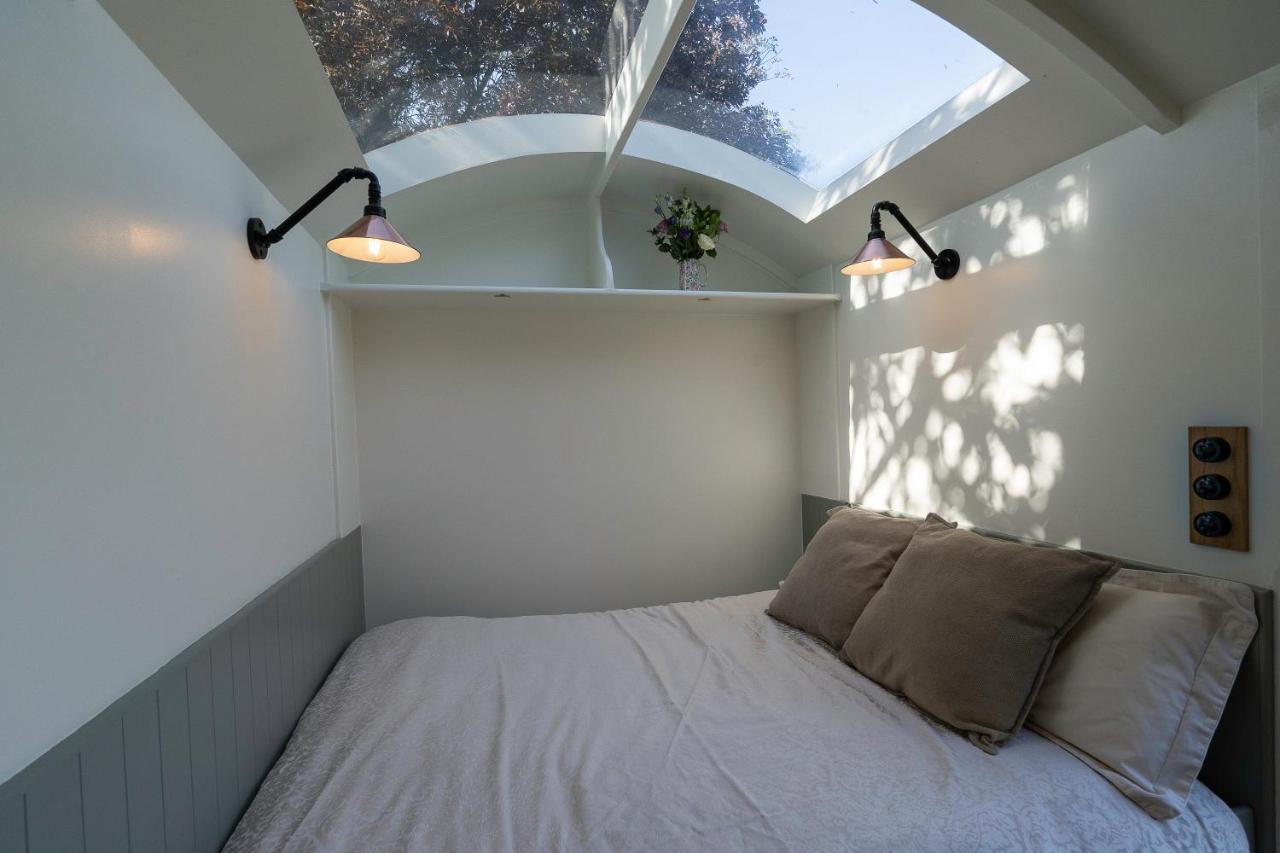 Bannfield Shepherds Hut 巴利马尼 外观 照片