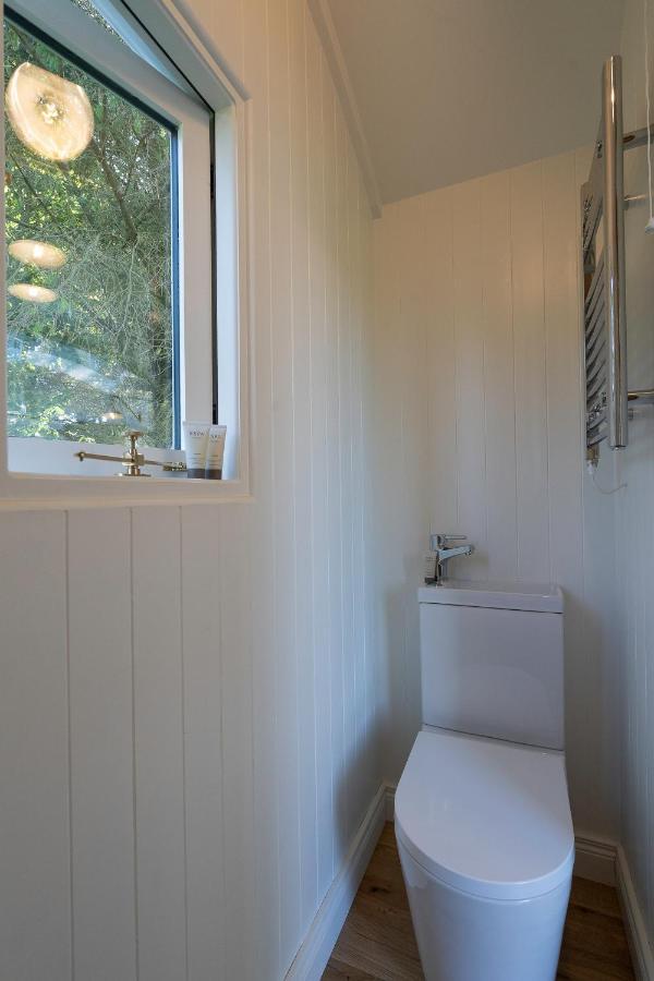 Bannfield Shepherds Hut 巴利马尼 外观 照片